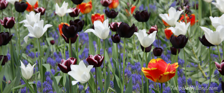 Happy Gardening Exercise Day