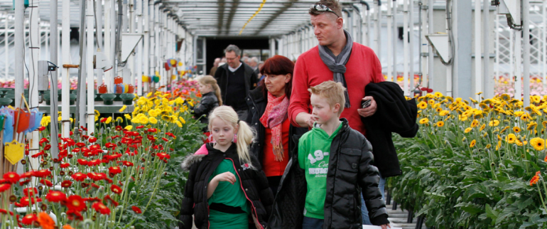 Visit the greenhouses