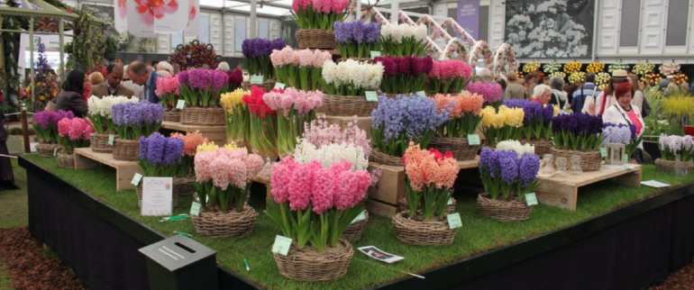 Chelsea Flower Show 2017