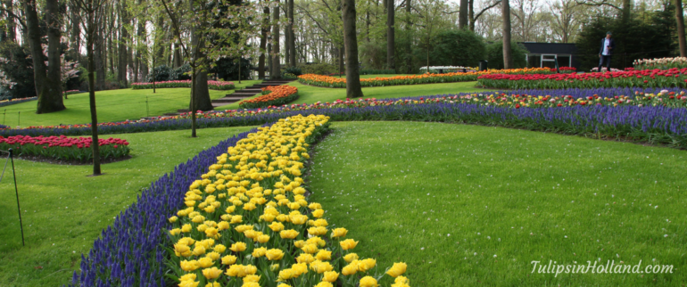 Final day of spring 2018